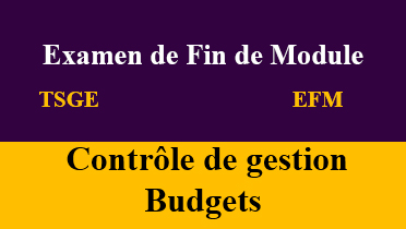 efm Budgets tsge