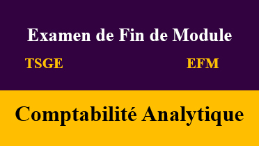 efm comptabilité analytique tsge