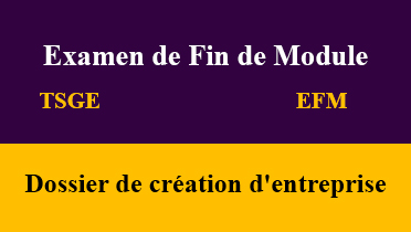 efm dossier de création d'entreprise