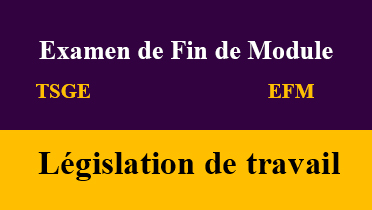 efm législation de travail tsge